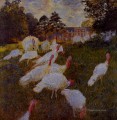 Turkeys Claude Monet
